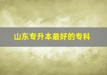 山东专升本最好的专科