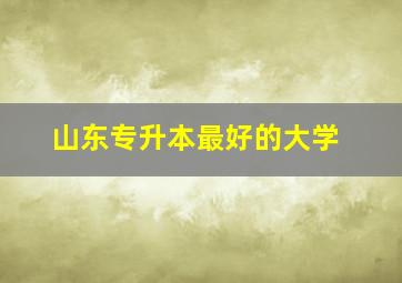 山东专升本最好的大学