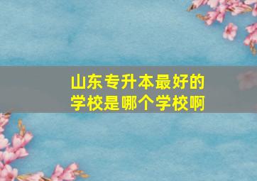 山东专升本最好的学校是哪个学校啊