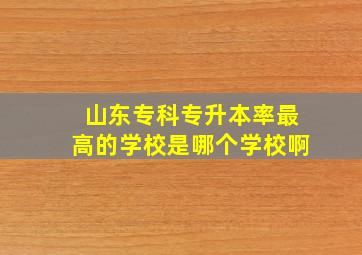 山东专科专升本率最高的学校是哪个学校啊