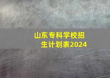 山东专科学校招生计划表2024