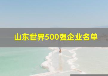 山东世界500强企业名单