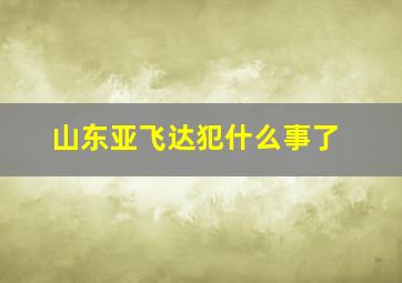 山东亚飞达犯什么事了