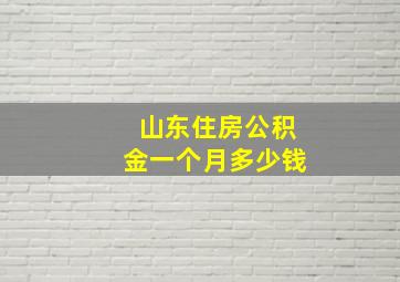 山东住房公积金一个月多少钱