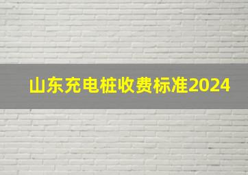 山东充电桩收费标准2024