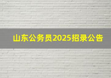 山东公务员2025招录公告