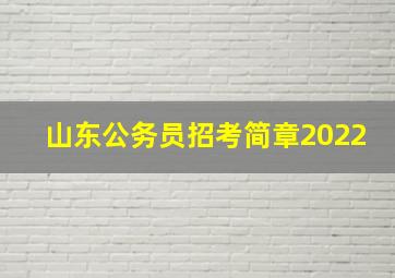 山东公务员招考简章2022