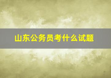 山东公务员考什么试题