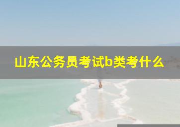 山东公务员考试b类考什么