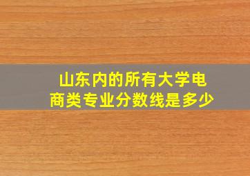 山东内的所有大学电商类专业分数线是多少