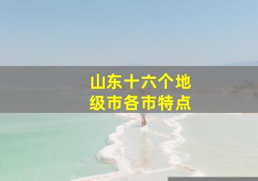 山东十六个地级市各市特点