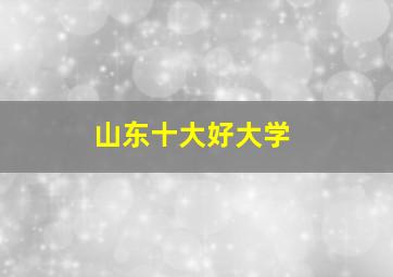 山东十大好大学