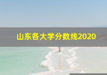 山东各大学分数线2020