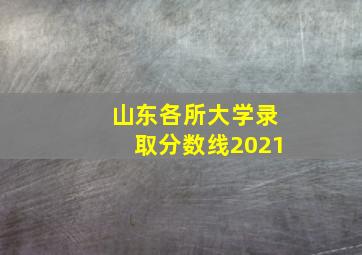 山东各所大学录取分数线2021