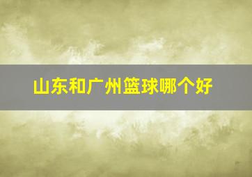 山东和广州篮球哪个好