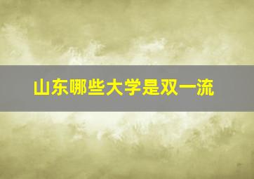 山东哪些大学是双一流