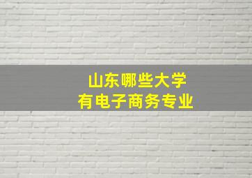 山东哪些大学有电子商务专业