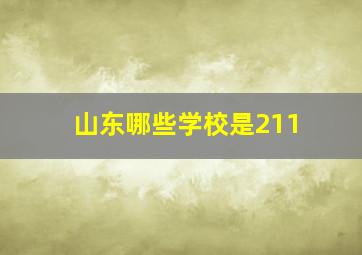 山东哪些学校是211