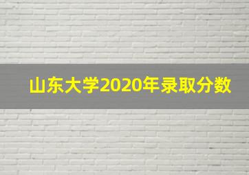 山东大学2020年录取分数