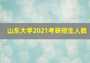 山东大学2021考研招生人数