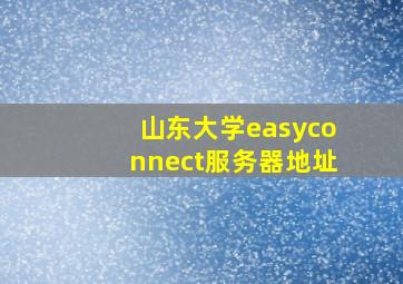 山东大学easyconnect服务器地址