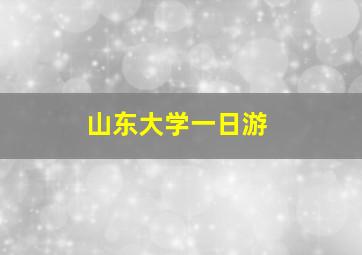 山东大学一日游