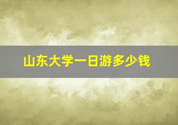 山东大学一日游多少钱