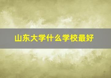 山东大学什么学校最好