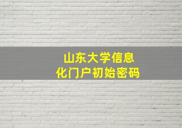 山东大学信息化门户初始密码