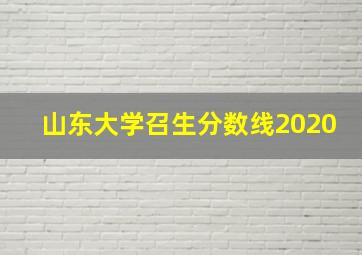 山东大学召生分数线2020