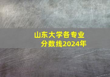 山东大学各专业分数线2024年