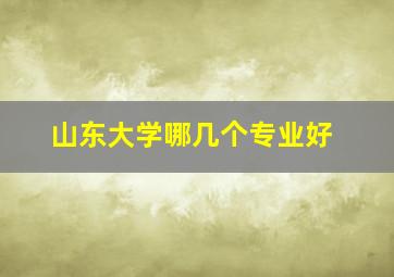 山东大学哪几个专业好