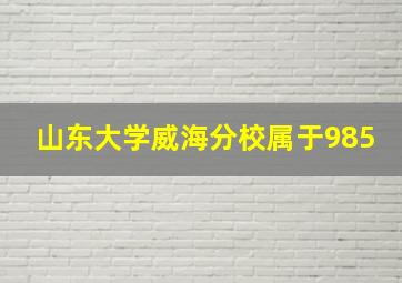 山东大学威海分校属于985