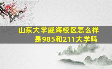 山东大学威海校区怎么样是985和211大学吗