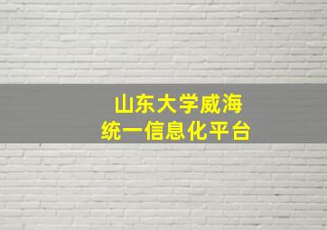 山东大学威海统一信息化平台