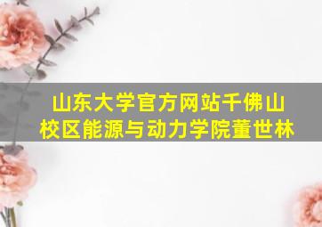 山东大学官方网站千佛山校区能源与动力学院董世林