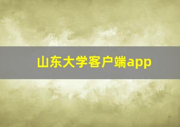 山东大学客户端app