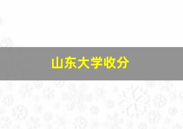 山东大学收分