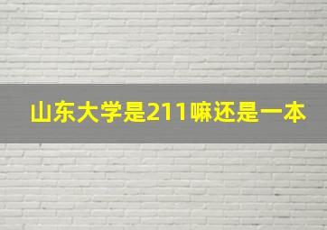 山东大学是211嘛还是一本