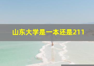 山东大学是一本还是211