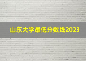 山东大学最低分数线2023