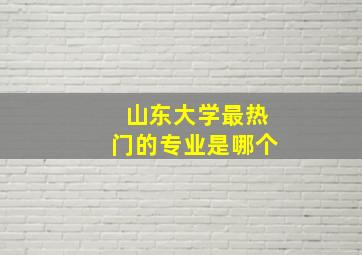 山东大学最热门的专业是哪个