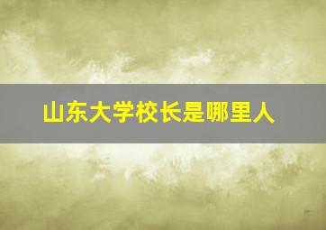 山东大学校长是哪里人