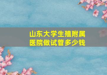 山东大学生殖附属医院做试管多少钱