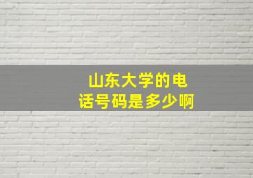 山东大学的电话号码是多少啊