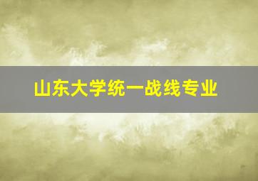 山东大学统一战线专业