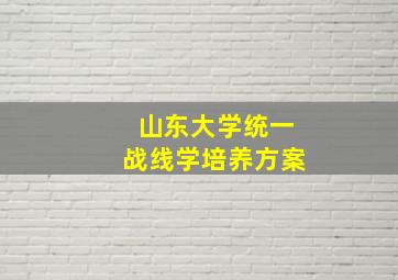 山东大学统一战线学培养方案