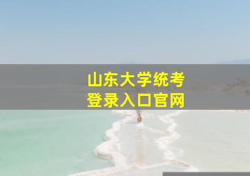 山东大学统考登录入口官网