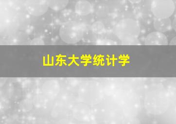 山东大学统计学