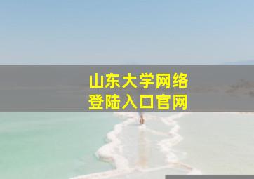 山东大学网络登陆入口官网